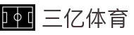 三亿(集团)体育科技有限公司官网